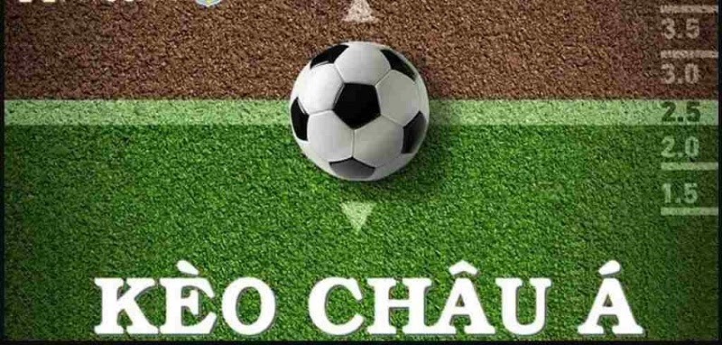 Top 3 chiến thuật soi k&egrave;o Chấp Ch&acirc;u &Aacute; thắng lớn kh&ocirc;ng thể bỏ qua